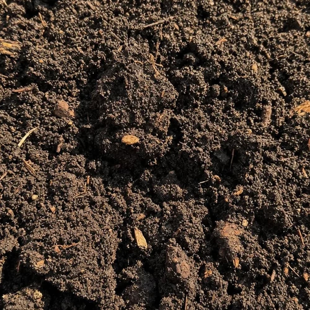 Garden Soil